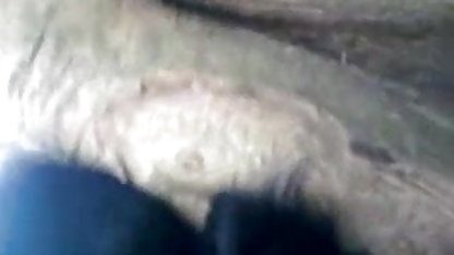 पिताजी और हिंदी फिल्म फुल सेक्सी माँ द्वारा गड़बड़ बेटी कुतिया